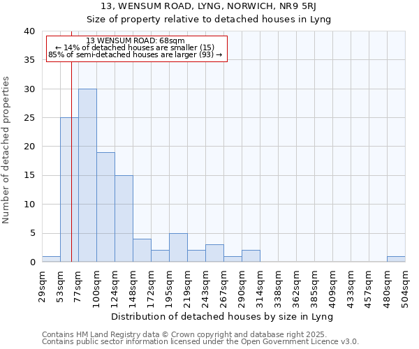 13, WENSUM ROAD, LYNG, NORWICH, NR9 5RJ: Size of property relative to detached houses houses in Lyng