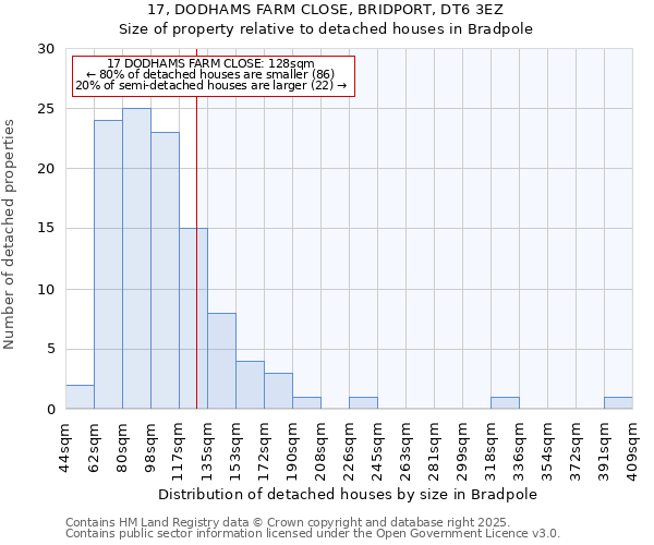 17, DODHAMS FARM CLOSE, BRIDPORT, DT6 3EZ: Size of property relative to detached houses houses in Bradpole