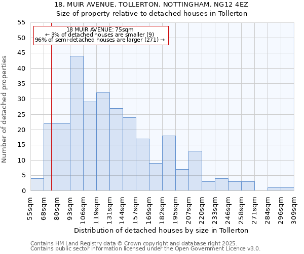 18, MUIR AVENUE, TOLLERTON, NOTTINGHAM, NG12 4EZ: Size of property relative to detached houses in Tollerton