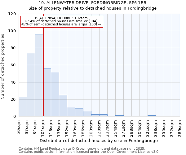 19, ALLENWATER DRIVE, FORDINGBRIDGE, SP6 1RB: Size of property relative to detached houses houses in Fordingbridge