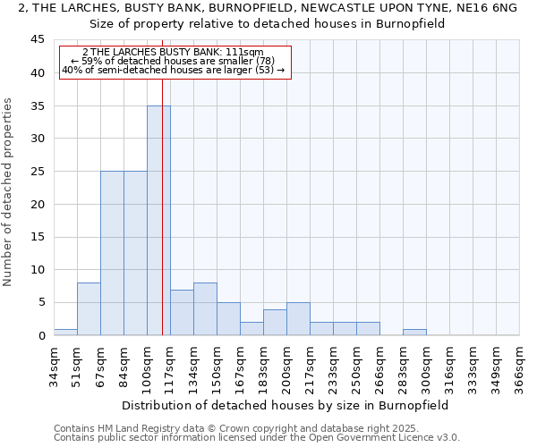 2, THE LARCHES, BUSTY BANK, BURNOPFIELD, NEWCASTLE UPON TYNE, NE16 6NG: Size of property relative to detached houses houses in Burnopfield