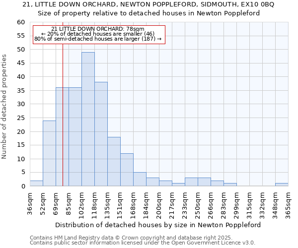 21, LITTLE DOWN ORCHARD, NEWTON POPPLEFORD, SIDMOUTH, EX10 0BQ: Size of property relative to detached houses houses in Newton Poppleford