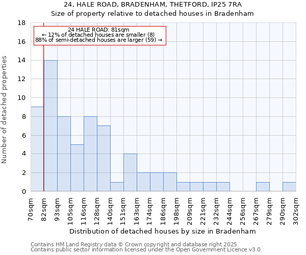 24, HALE ROAD, BRADENHAM, THETFORD, IP25 7RA: Size of property relative to detached houses houses in Bradenham