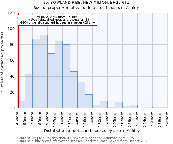 25, BOWLAND RISE, NEW MILTON, BH25 6TZ: Size of property relative to detached houses houses in Ashley