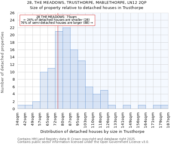 28, THE MEADOWS, TRUSTHORPE, MABLETHORPE, LN12 2QP: Size of property relative to detached houses houses in Trusthorpe