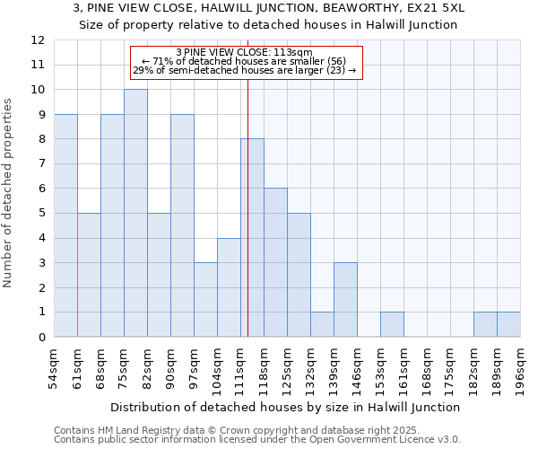 3, PINE VIEW CLOSE, HALWILL JUNCTION, BEAWORTHY, EX21 5XL: Size of property relative to detached houses houses in Halwill Junction