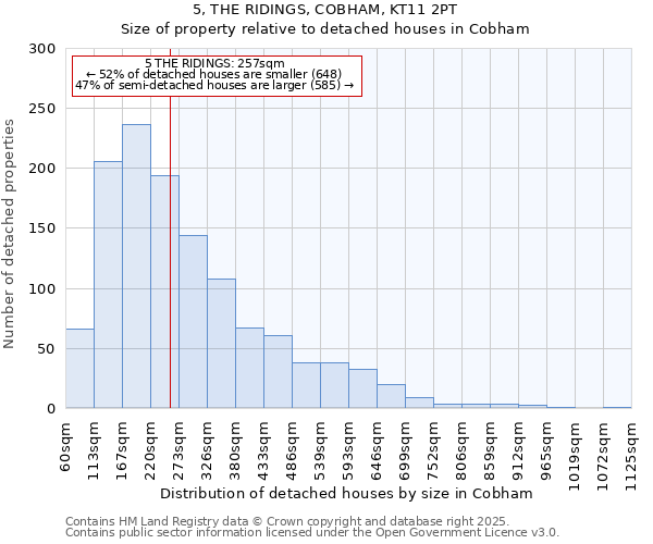 5, THE RIDINGS, COBHAM, KT11 2PT: Size of property relative to detached houses houses in Cobham