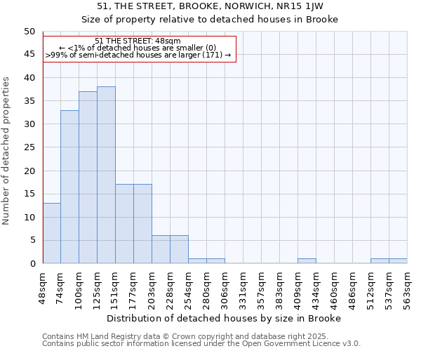 51, THE STREET, BROOKE, NORWICH, NR15 1JW: Size of property relative to detached houses in Brooke