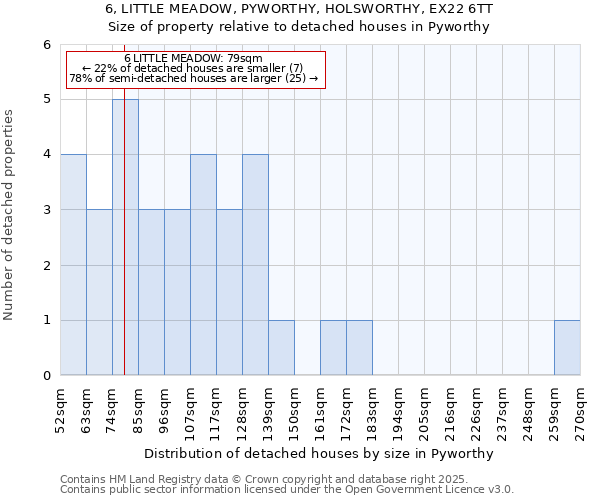 6, LITTLE MEADOW, PYWORTHY, HOLSWORTHY, EX22 6TT: Size of property relative to detached houses houses in Pyworthy