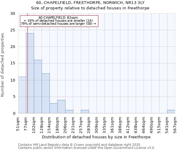 60, CHAPELFIELD, FREETHORPE, NORWICH, NR13 3LY: Size of property relative to detached houses houses in Freethorpe