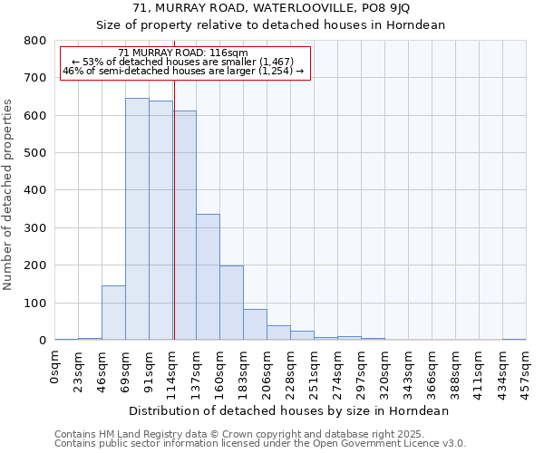 71, MURRAY ROAD, WATERLOOVILLE, PO8 9JQ: Size of property relative to detached houses houses in Horndean