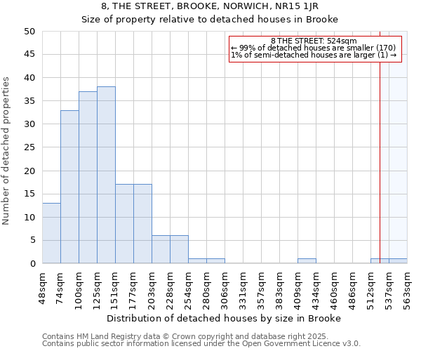 8, THE STREET, BROOKE, NORWICH, NR15 1JR: Size of property relative to detached houses in Brooke