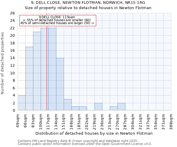 9, DELL CLOSE, NEWTON FLOTMAN, NORWICH, NR15 1RG: Size of property relative to detached houses houses in Newton Flotman