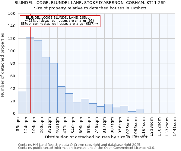 BLUNDEL LODGE, BLUNDEL LANE, STOKE D'ABERNON, COBHAM, KT11 2SP: Size of property relative to detached houses houses in Oxshott