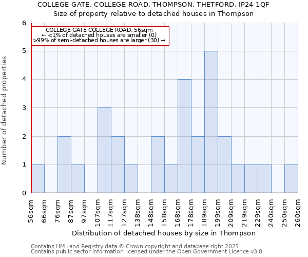 COLLEGE GATE, COLLEGE ROAD, THOMPSON, THETFORD, IP24 1QF: Size of property relative to detached houses in Thompson