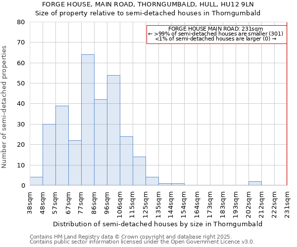 FORGE HOUSE, MAIN ROAD, THORNGUMBALD, HULL, HU12 9LN: Size of property relative to semi-detached houses houses in Thorngumbald