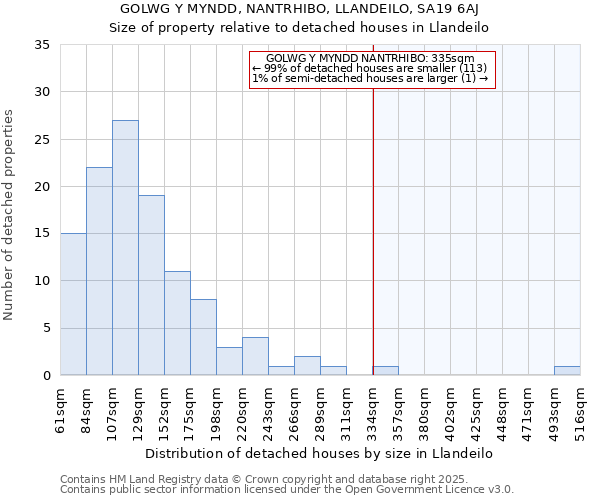 GOLWG Y MYNDD, NANTRHIBO, LLANDEILO, SA19 6AJ: Size of property relative to detached houses houses in Llandeilo