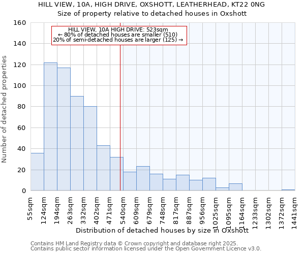 HILL VIEW, 10A, HIGH DRIVE, OXSHOTT, LEATHERHEAD, KT22 0NG: Size of property relative to detached houses houses in Oxshott
