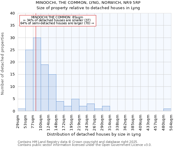 MINOOCHI, THE COMMON, LYNG, NORWICH, NR9 5RP: Size of property relative to detached houses houses in Lyng