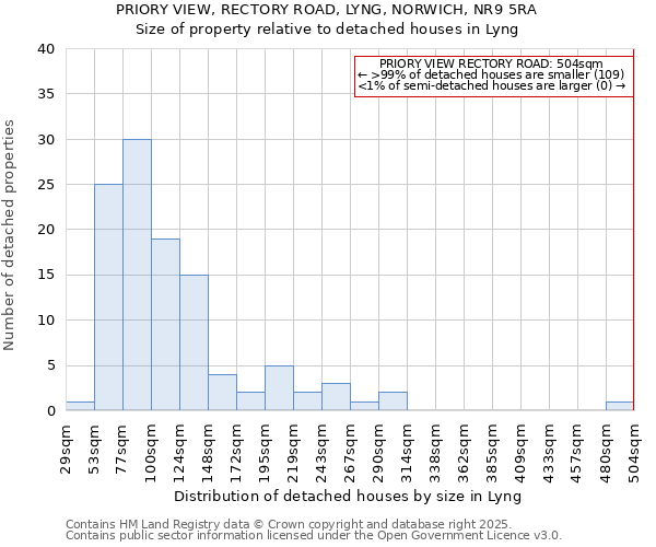 PRIORY VIEW, RECTORY ROAD, LYNG, NORWICH, NR9 5RA: Size of property relative to detached houses houses in Lyng