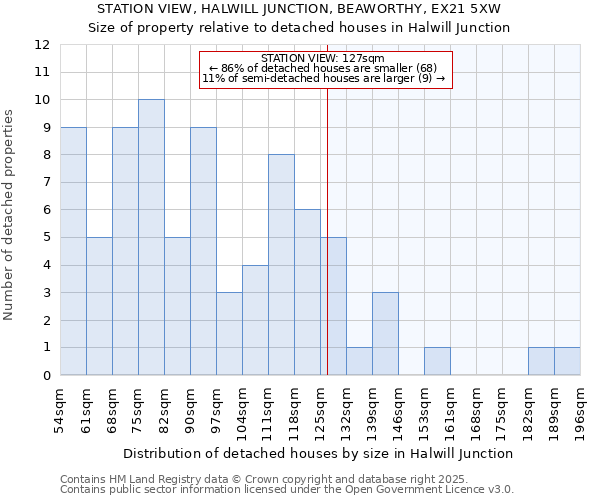 STATION VIEW, HALWILL JUNCTION, BEAWORTHY, EX21 5XW: Size of property relative to detached houses houses in Halwill Junction