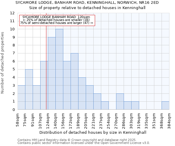 SYCAMORE LODGE, BANHAM ROAD, KENNINGHALL, NORWICH, NR16 2ED: Size of property relative to detached houses houses in Kenninghall