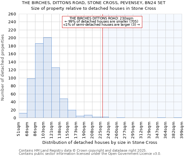 THE BIRCHES, DITTONS ROAD, STONE CROSS, PEVENSEY, BN24 5ET: Size of property relative to detached houses houses in Stone Cross