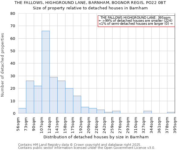 THE FALLOWS, HIGHGROUND LANE, BARNHAM, BOGNOR REGIS, PO22 0BT: Size of property relative to detached houses in Barnham