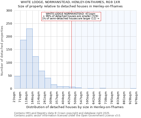 WHITE LODGE, NORMANSTEAD, HENLEY-ON-THAMES, RG9 1XR: Size of property relative to detached houses in Henley-on-Thames