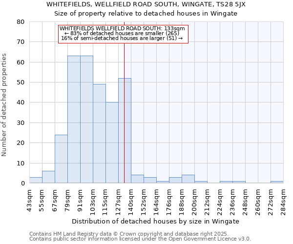 WHITEFIELDS, WELLFIELD ROAD SOUTH, WINGATE, TS28 5JX: Size of property relative to detached houses houses in Wingate