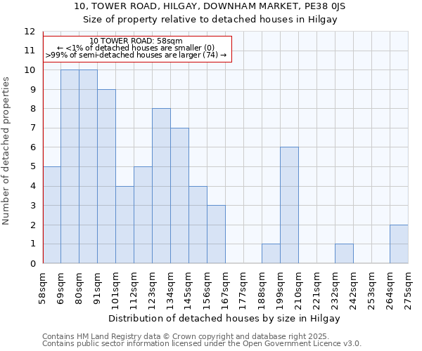10, TOWER ROAD, HILGAY, DOWNHAM MARKET, PE38 0JS: Size of property relative to detached houses houses in Hilgay