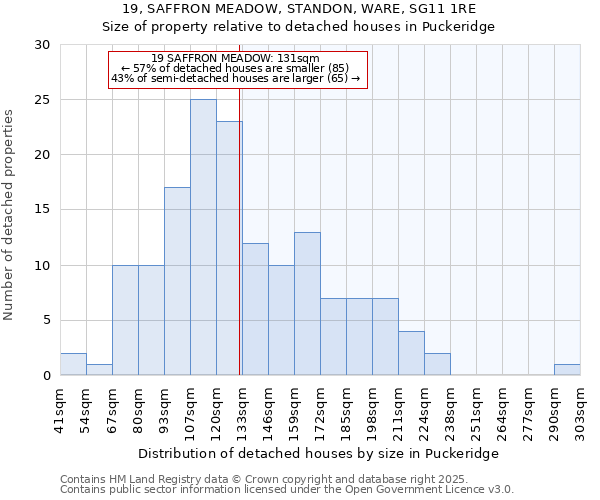 19, SAFFRON MEADOW, STANDON, WARE, SG11 1RE: Size of property relative to detached houses houses in Puckeridge