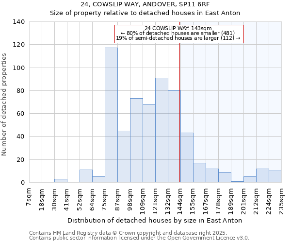 24, COWSLIP WAY, ANDOVER, SP11 6RF: Size of property relative to detached houses houses in East Anton