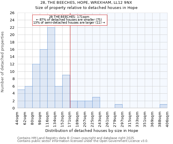 28, THE BEECHES, HOPE, WREXHAM, LL12 9NX: Size of property relative to detached houses houses in Hope