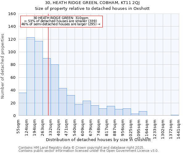 30, HEATH RIDGE GREEN, COBHAM, KT11 2QJ: Size of property relative to detached houses houses in Oxshott