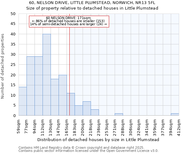60, NELSON DRIVE, LITTLE PLUMSTEAD, NORWICH, NR13 5FL: Size of property relative to detached houses houses in Little Plumstead