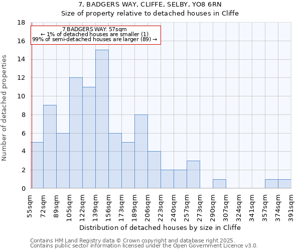7, BADGERS WAY, CLIFFE, SELBY, YO8 6RN: Size of property relative to detached houses houses in Cliffe