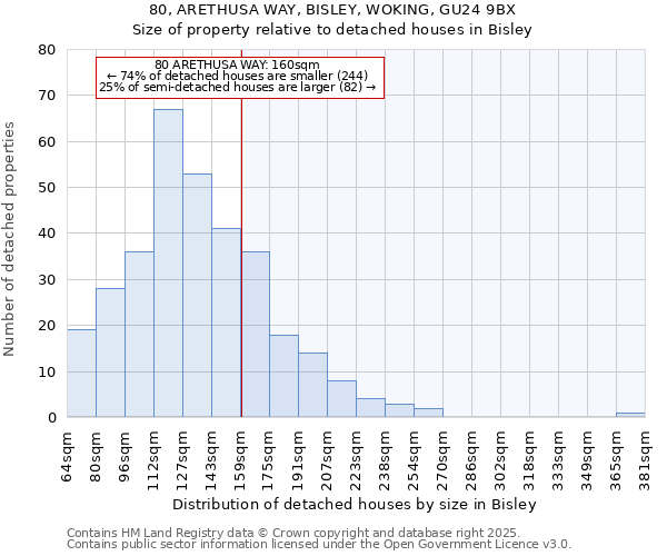 80, ARETHUSA WAY, BISLEY, WOKING, GU24 9BX: Size of property relative to detached houses houses in Bisley
