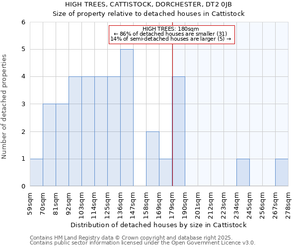 HIGH TREES, CATTISTOCK, DORCHESTER, DT2 0JB: Size of property relative to detached houses houses in Cattistock