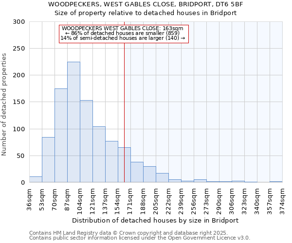 WOODPECKERS, WEST GABLES CLOSE, BRIDPORT, DT6 5BF: Size of property relative to detached houses houses in Bridport
