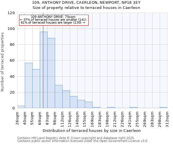 109, ANTHONY DRIVE, CAERLEON, NEWPORT, NP18 3EY: Size of property relative to terraced houses houses in Caerleon