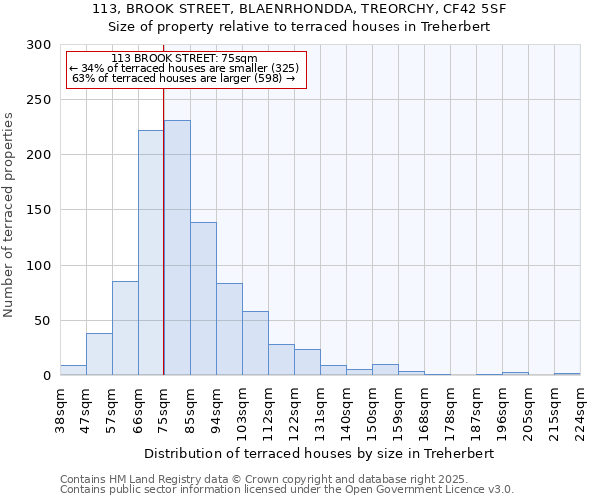 113, BROOK STREET, BLAENRHONDDA, TREORCHY, CF42 5SF: Size of property relative to terraced houses houses in Treherbert