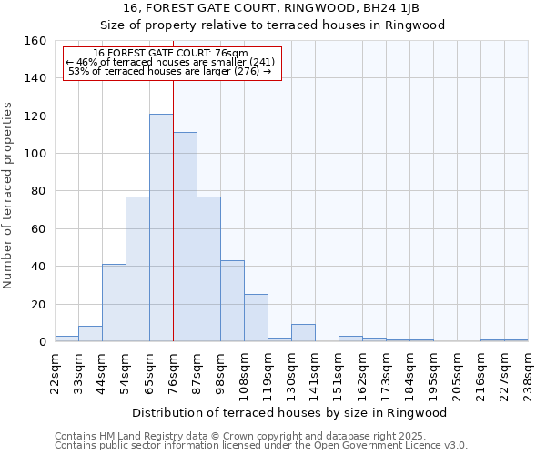 16, FOREST GATE COURT, RINGWOOD, BH24 1JB: Size of property relative to terraced houses houses in Ringwood