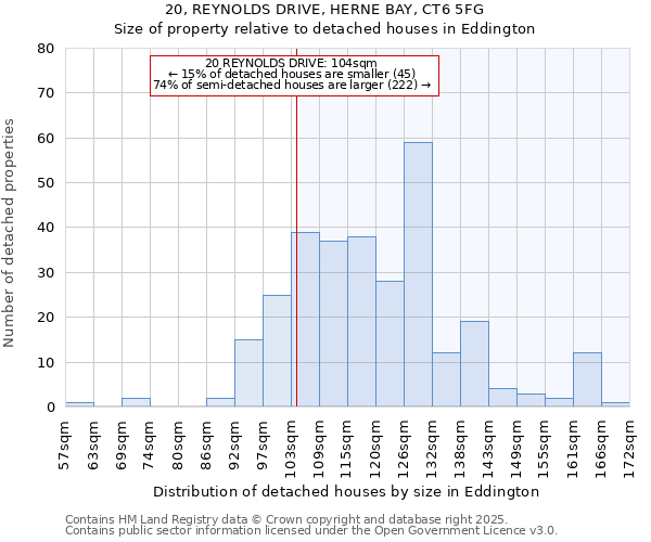 20, REYNOLDS DRIVE, HERNE BAY, CT6 5FG: Size of property relative to detached houses houses in Eddington