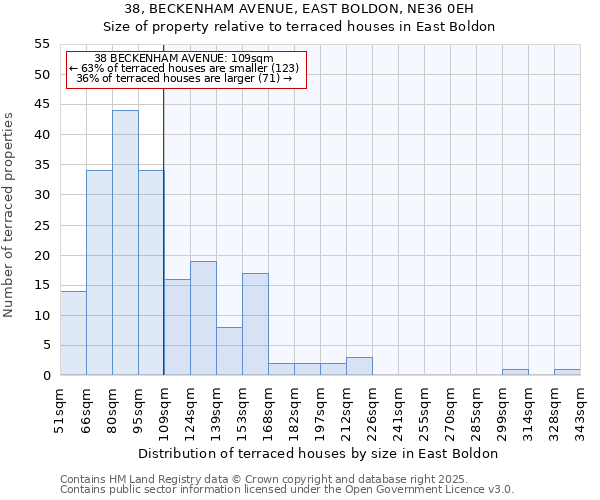 38, BECKENHAM AVENUE, EAST BOLDON, NE36 0EH: Size of property relative to terraced houses houses in East Boldon