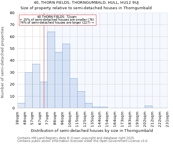 40, THORN FIELDS, THORNGUMBALD, HULL, HU12 9UJ: Size of property relative to semi-detached houses houses in Thorngumbald