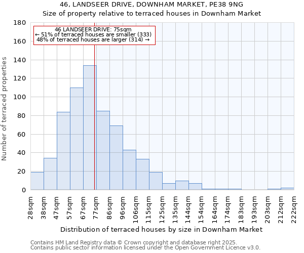 46, LANDSEER DRIVE, DOWNHAM MARKET, PE38 9NG: Size of property relative to terraced houses houses in Downham Market