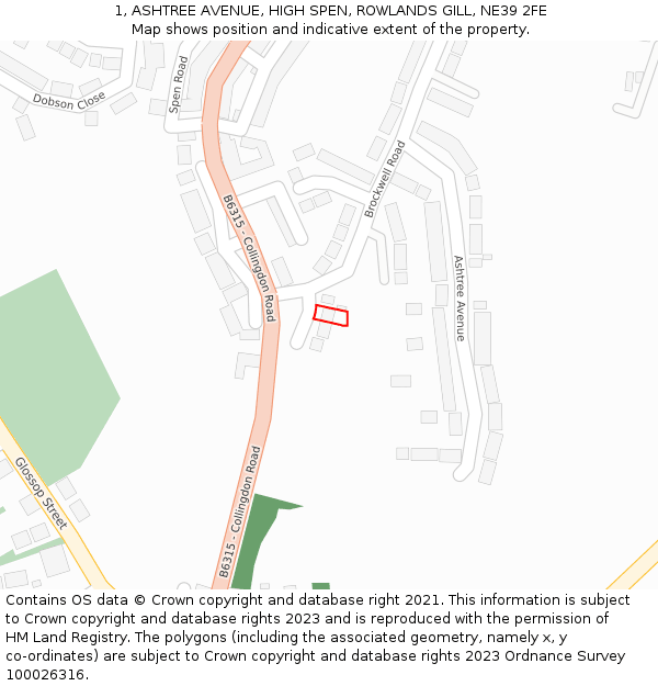 1, ASHTREE AVENUE, HIGH SPEN, ROWLANDS GILL, NE39 2FE: Location map and indicative extent of plot