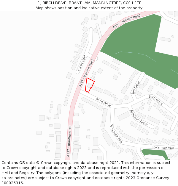 1, BIRCH DRIVE, BRANTHAM, MANNINGTREE, CO11 1TE: Location map and indicative extent of plot