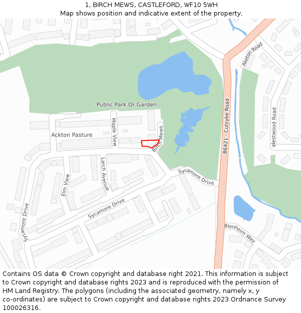 1, BIRCH MEWS, CASTLEFORD, WF10 5WH: Location map and indicative extent of plot